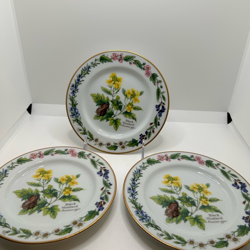 3 ROYAL WORCESTER HERBS BLACK MUSTARD TEA SIDE BREAD PLATES EXCELLENT CONDITION